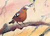 Slim Purse - Little Bird